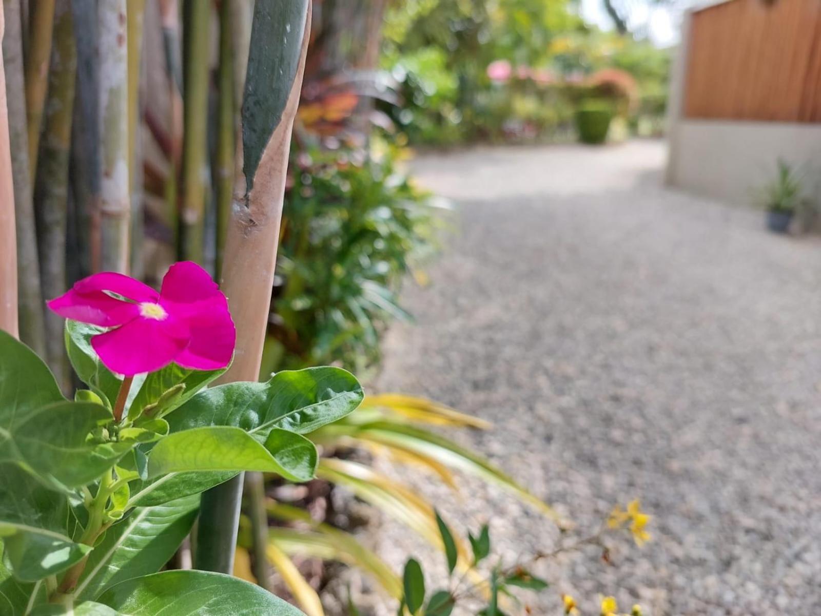Halamanan Residences Panglao Luaran gambar